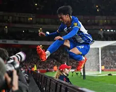 哈兰德不参加欧洲杯